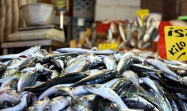 Pazarda satılan balığa dikkat! En büyük risk...