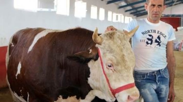 Pazarın en büyüğü 'Gaddar' satıldı! İşte fiyatı...