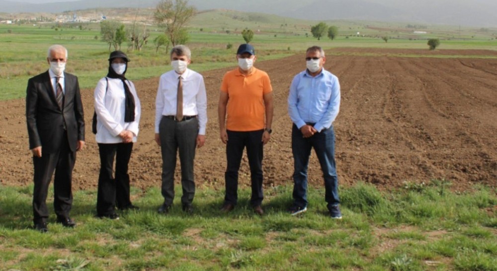 Pazarlar MYO’da glütensiz gıdalar üretilecek 