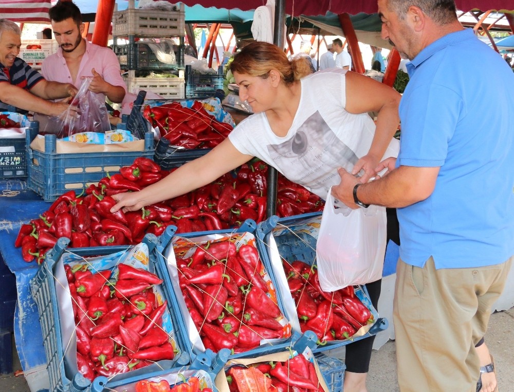 Pazarlarda salçalık biber hareketliliği 