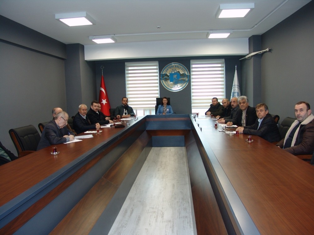Pazaryeri Belediyesi şubat ayı belediye meclis toplantısı yapıldı 