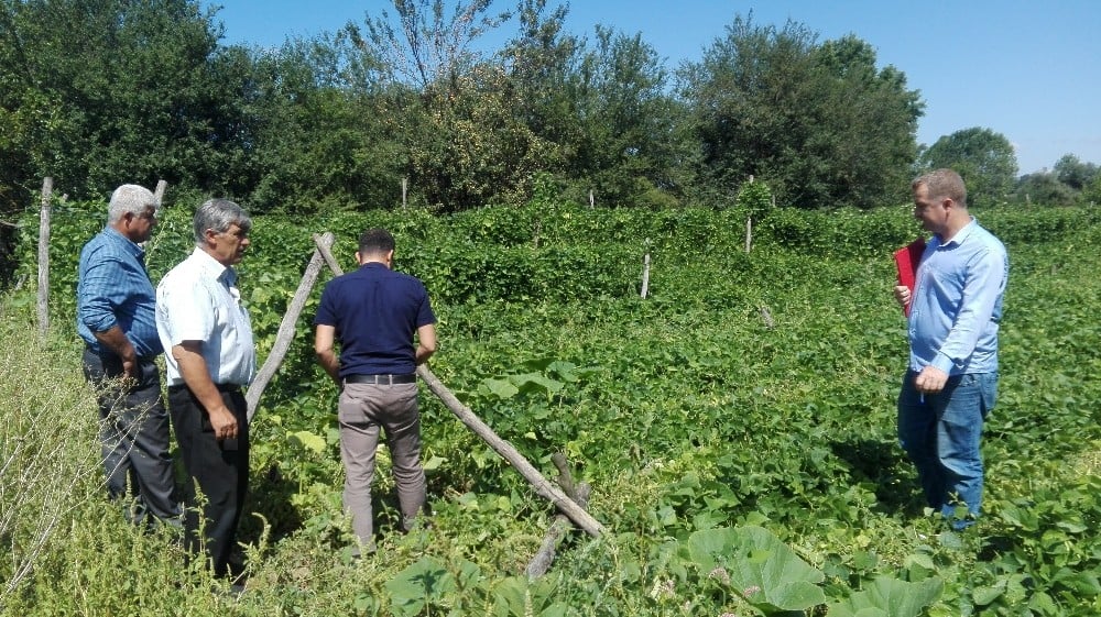Pazaryeri’ndeki tarım arazilerinde hasar tespit çalışmaları başladı 