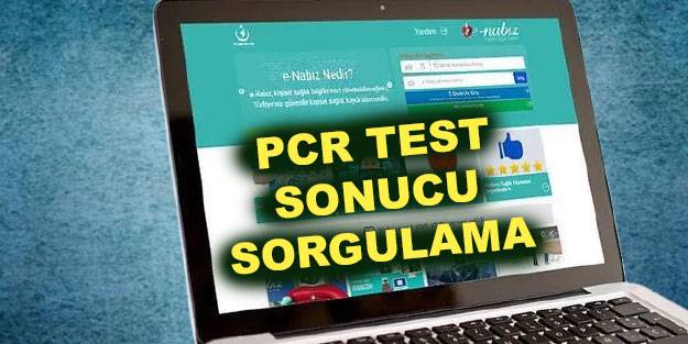 Pcr Testi Kac Gunde Cikar Pcr Testi Ne Zaman Cikar Pcr Testi Sonuclari Nereden Alinir