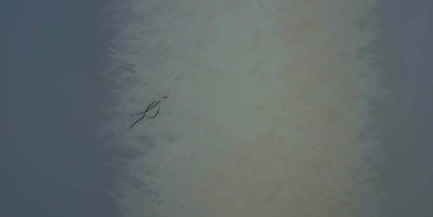 PCR testinde "grafen" iddiası! Patentinde bakın ne çıktı