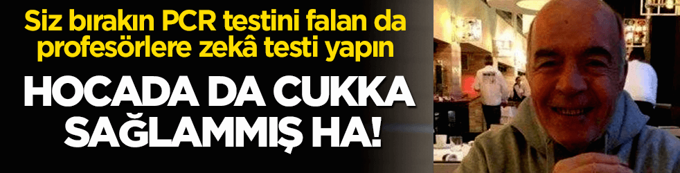 PCR testini bırakın, profesörlere zekâ testi yapın