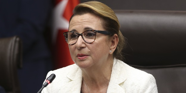 Pekcan: İran’a ambargoda 8 ülke muaf