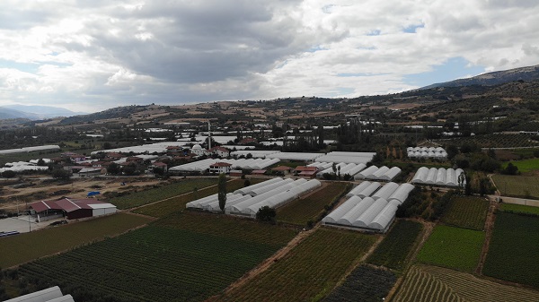 Peki ama neden? Herkes bu köye göç etmeye başladı