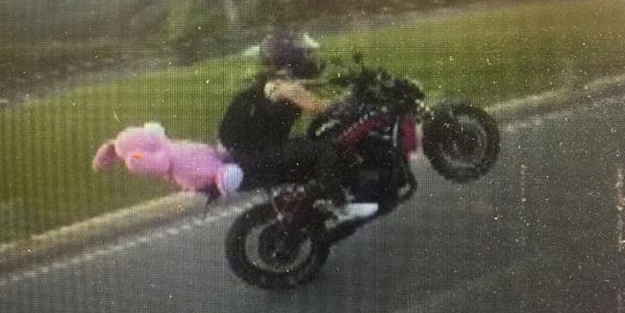 'Pembe ayıcıklı' Buse yakalandı: Pişman değilim