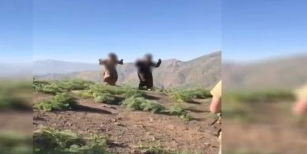 Pençe - Kılıç etkisi! "Üst düzey" PKK'lı terörist teslim oldu