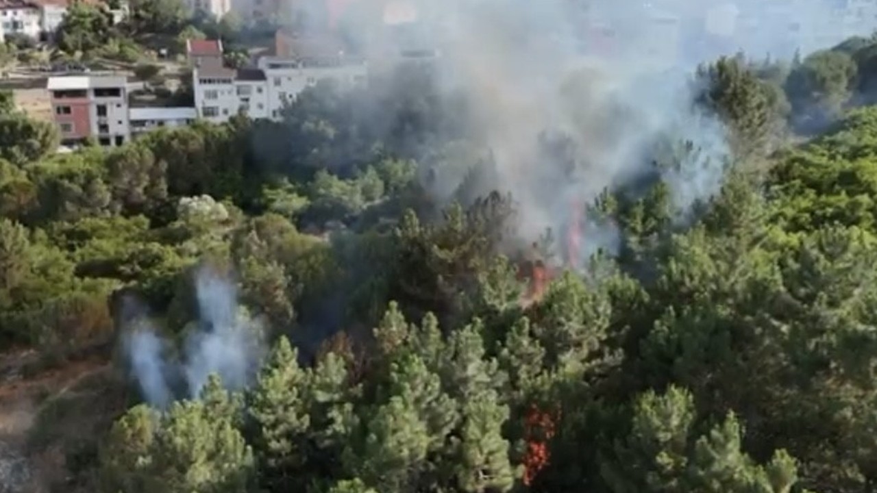 Pendik Aydos Ormanı’nda yangın korkuttu