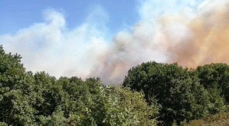 Pendik’te korkutan orman yangını 