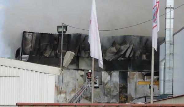 Pendik'te suni çim fabrikasında yangın çıktı