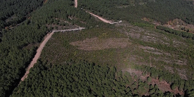 Pendik’te teröristlerin yaktığı orman havadan görüntülendi