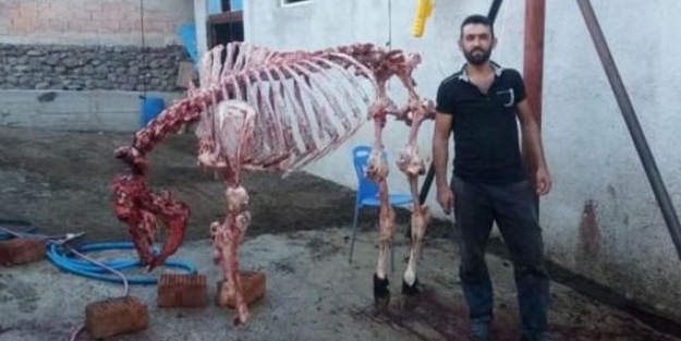 Pes artık! Kurban iskeletiyle hatıra fotoğrafı çektirdi