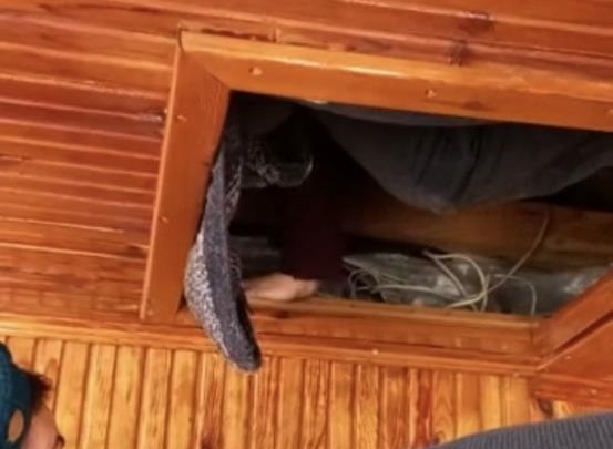 Pes artık! Yakalandığı yeri görenler şok oldu