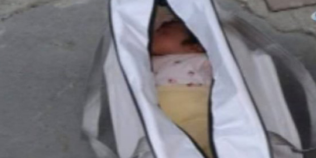 Pes dedirtecek vicdansızlık! Çöpte buldular