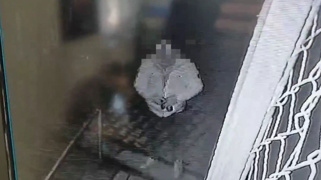 Pes dedirten hırsızlık kamerada!