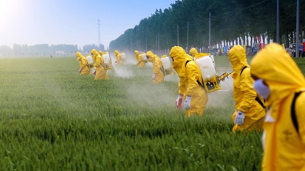 Pestisit kullanımının zararları nelerdir?