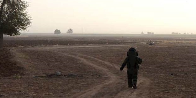 Pet şişenin içinden çıkanlar 'yok artık' dedirtti