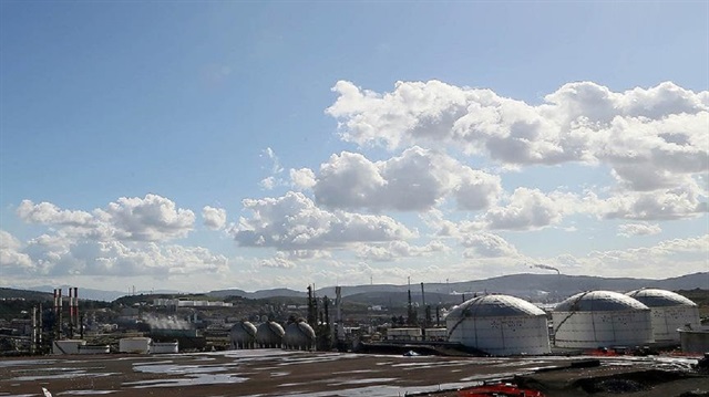 Petkim'e yeni statüsü