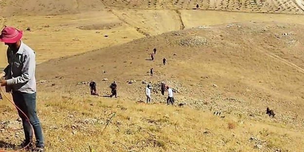 Petrol arama sahasında bir işçiyi akrep soktu