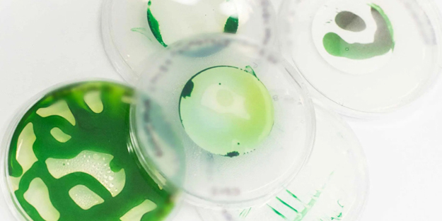 Petrol yiyen mikroplar dünyanın en 'ucuz' ve en 'temiz' hidrojenini salgılayacak! Petrol yiyen bakteri çığır açacak