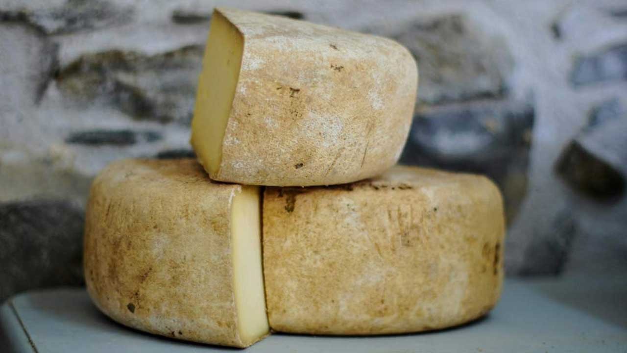 Peynir devini sarsacak gelişme! 22 ton peynir çalındı