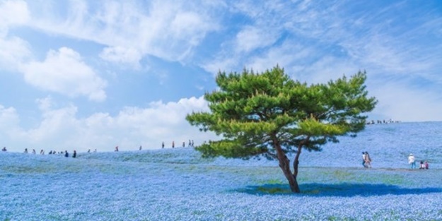 Photoshop olmayan inanılmaz fotoğraflar