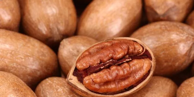 Pikan cevizi nedir, faydaları nelerdir? Pikan cevizi yağı şifa deposu! Kalp hastalıklarına iyi geliyor