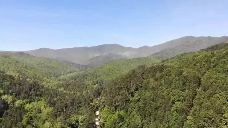 Pikniğe gidecekler dikkat! Ormanlık alanlara giriş yasağı geliyor