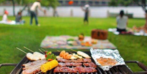 Piknik yapanlara kritik uyarı!