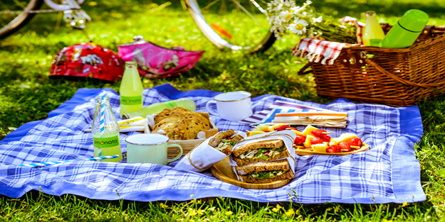 Piknik yapmak yasaklandı mı? | Mangal yapmak yasaklandı mı?