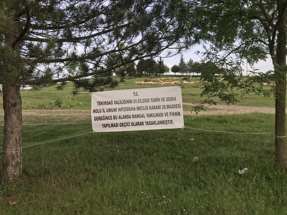 Piknikçilere korona denetimi 