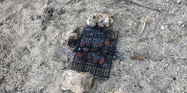 Piknikçilerin mangal ateşi 1.5 hektarı yok etti