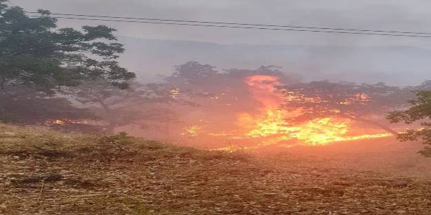 Piknikçilerin olduğu alana düşen yıldırım yangına neden oldu