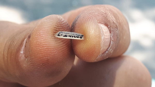 Pirinç tanesi ekmek kapısı oldu! Bu işi yapmak çok zor