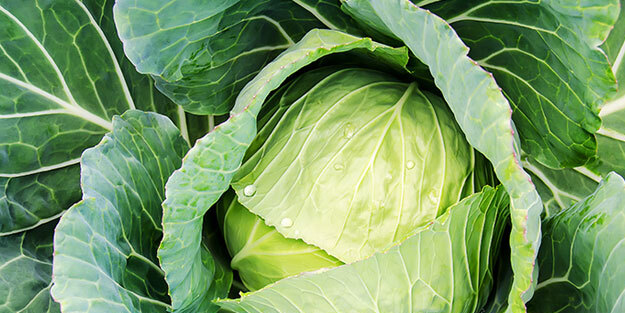 Pişerken kötü kokuyor ama en sağlıklı turşu o! Akıllardaki soru ilk kez listelendi: 1 porsiyon bile ilaç gibi!