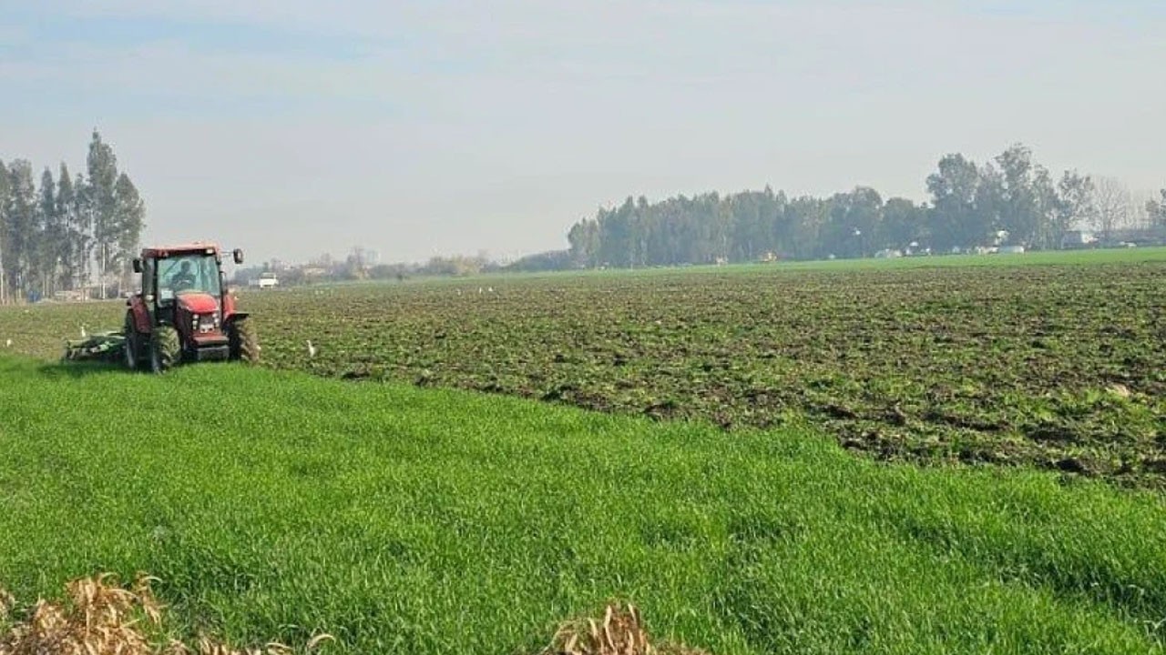 Pişkinliğin bu kadarı!.. Ormanlık alanda yaptıkları pes dedirtti