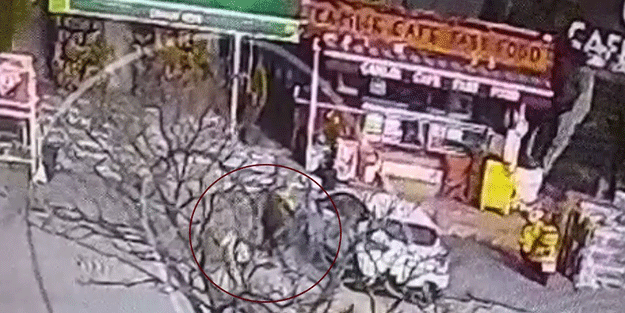 Pitbull cinsi köpeğin ısırdığı adamın bacağına 28 dikiş atıldı! Sorumsuz sahibi serbest kaldı