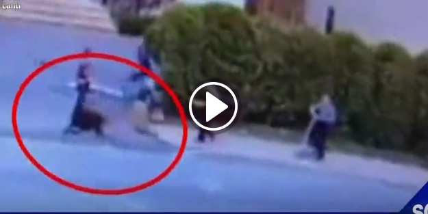 Pitbull çocuklara saldırdı!