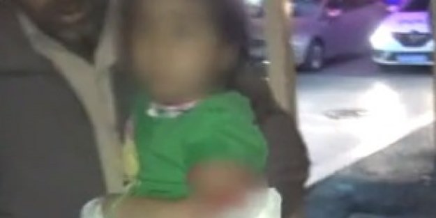 Pitbull dehşeti kameralara saniye saniye yansıdı