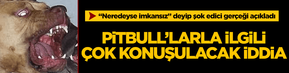 Pitbull'larla ilgili şok iddia! 
