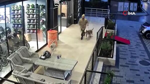 Pitbullunu sokak köpeklerinin üzerine salıp, vatandaşa bıçak çeken şahıs yakalandı