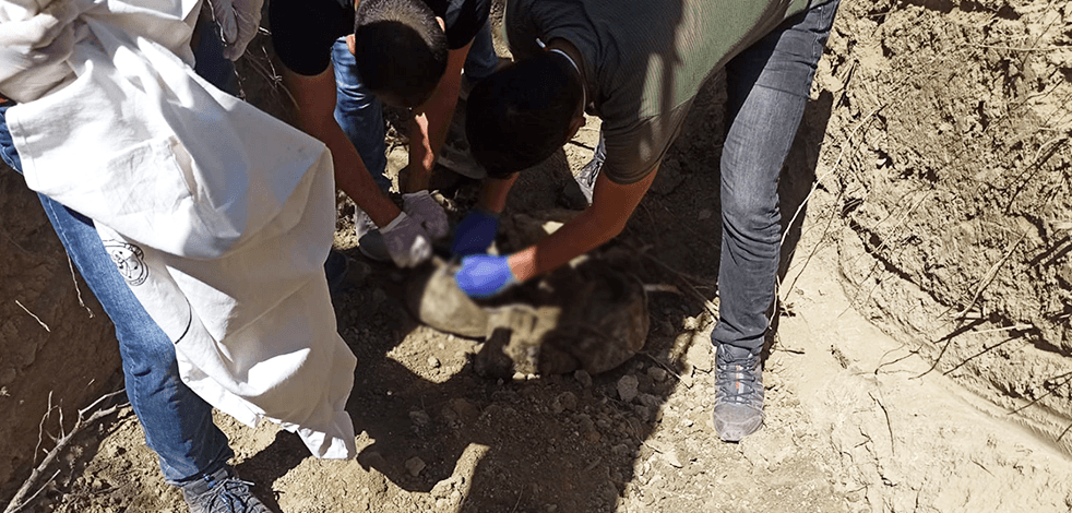 PKK içinde infazlar sürüyor