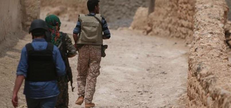 PKK karıştı! 40 terörist infaz edildi