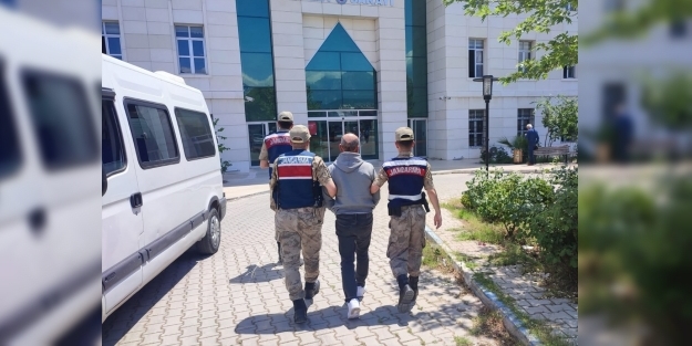 PKK saflarında çatışmalara giren terörist tutuklandı