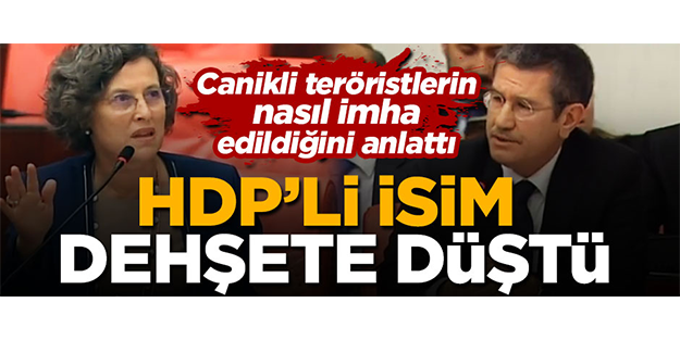 PKK sevici HDP'li Kerestecioğlu dehşete kapılmış!