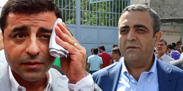 PKK sevici Demirtaş'tan CHP’li dostu Tanrıkulu’na hediye! ’Beni çok onurlandırdı’