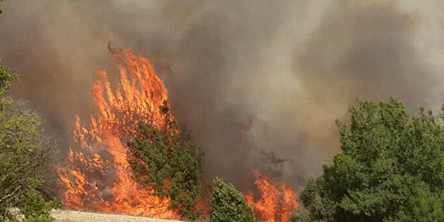 PKK, son 30 yılda 6 bin 587 hektarlık orman alanını yaktı! Ateşin değil ‘iblis’in çocukları