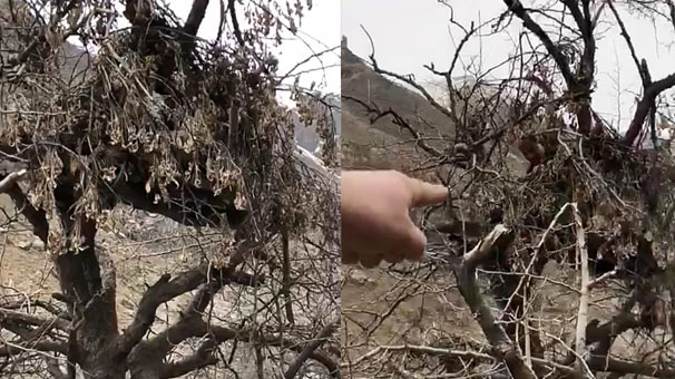 Hainlerin gözetleme kuleleri deşifre oldu